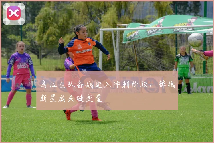 乌拉圭队备战进入冲刺阶段，锋线新星成关键变量