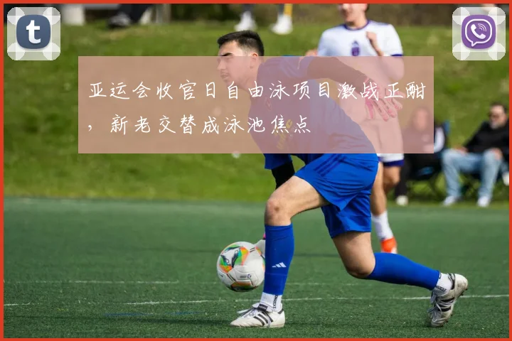 亚运会收官日自由泳项目激战正酣，新老交替成泳池焦点