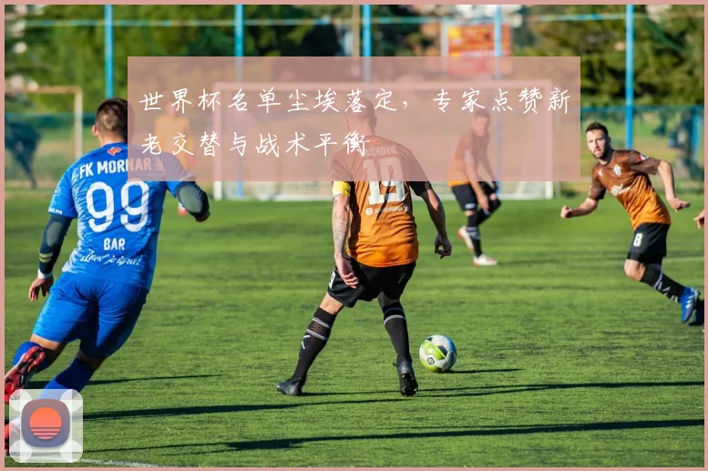 世界杯名单尘埃落定，专家点赞新老交替与战术平衡