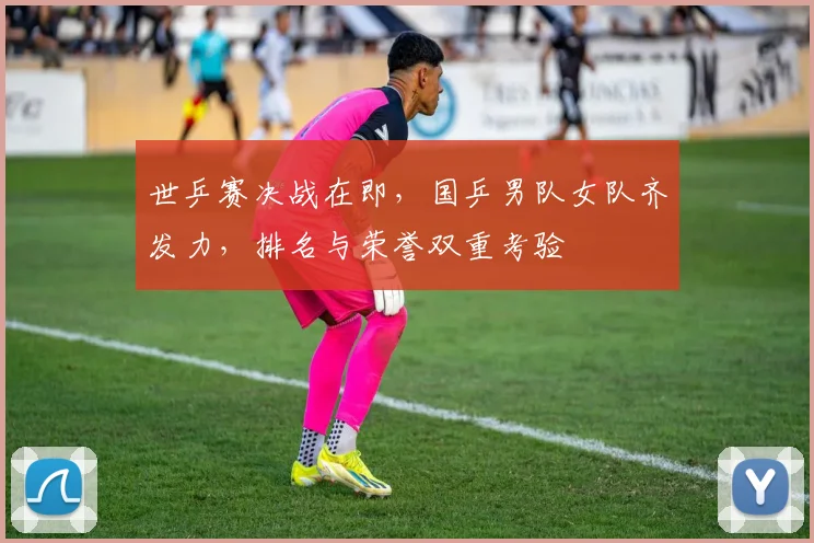 世乒赛决战在即，国乒男队女队齐发力，排名与荣誉双重考验