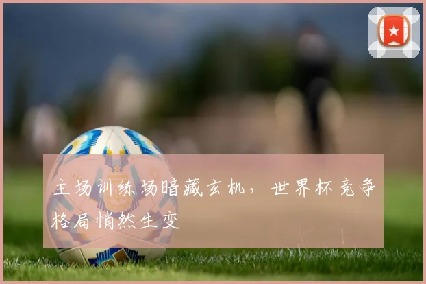 主场训练场暗藏玄机，世界杯竞争格局悄然生变