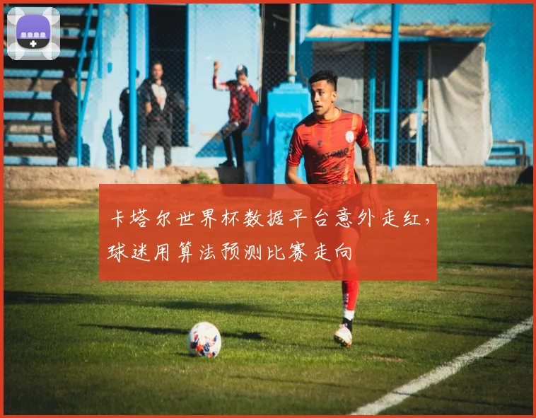 卡塔尔世界杯数据平台意外走红，球迷用算法预测比赛走向