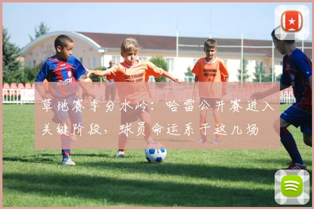 草地赛季分水岭：哈雷公开赛进入关键阶段，球员命运系于这几场
