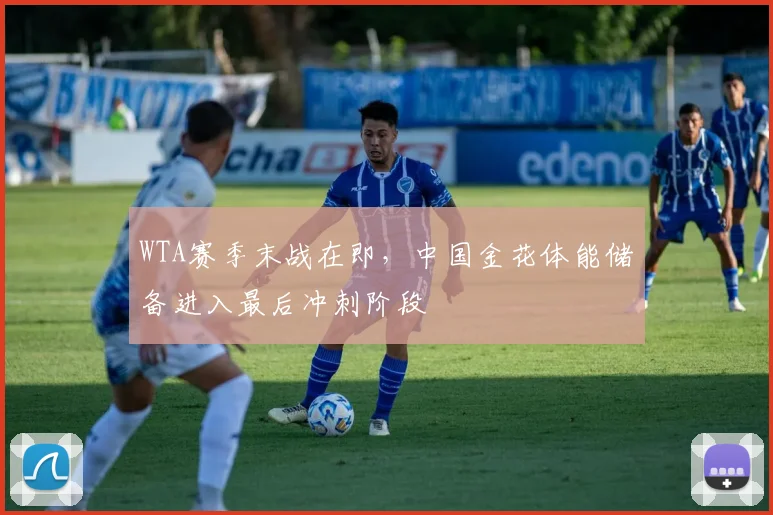 WTA赛季末战在即，中国金花体能储备进入最后冲刺阶段
