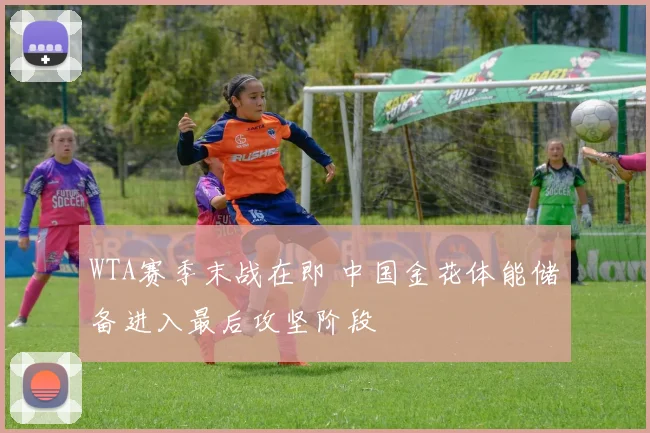 WTA赛季末战在即 中国金花体能储备进入最后攻坚阶段