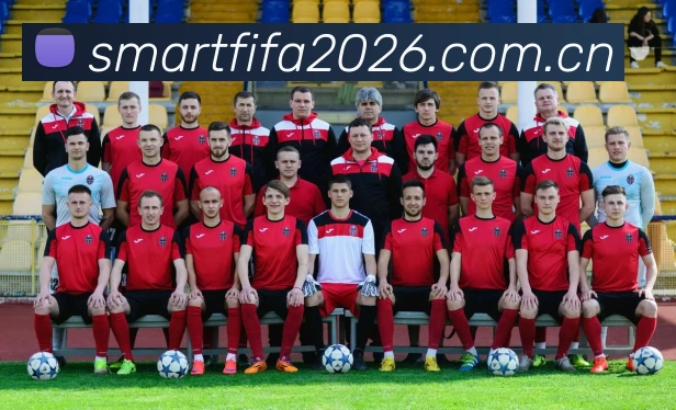 2026世界杯 多终端观赛